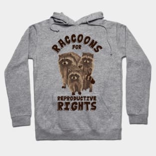 Raccoons For Reproductive Rights Hoodie